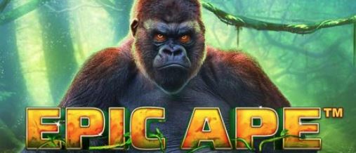 Epic Ape Slot