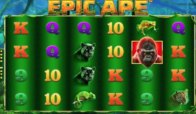 Epic Ape Uitleg