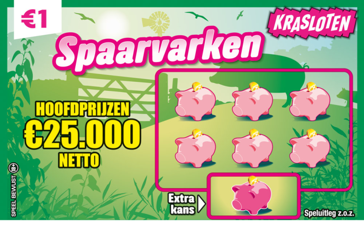 Spaarvarkentje Kraslot