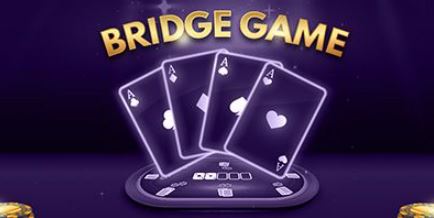 Online Bridge Spelen