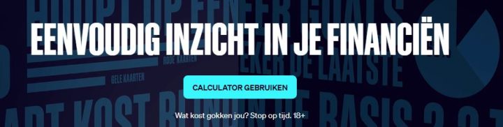 Betcity Budgetcalculator