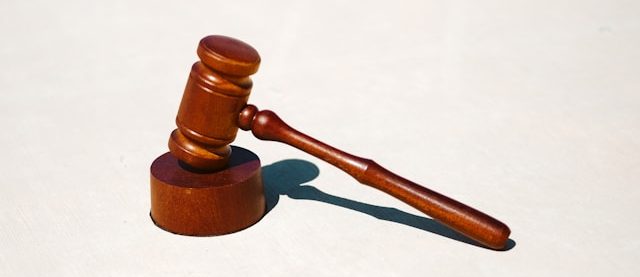 Law Gavel